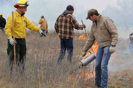 Conducting a prescribed burn. 